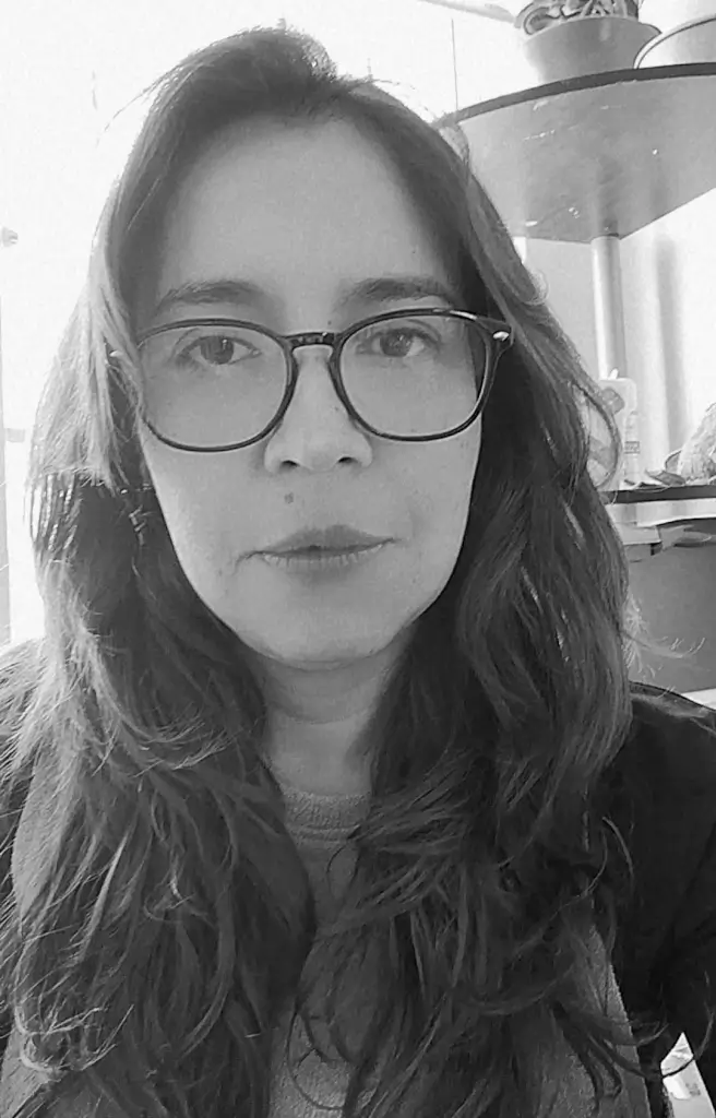Psicóloga Viviana Araya - Psicología clínica